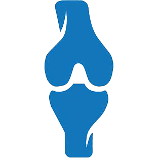 Cơ xương khớp
